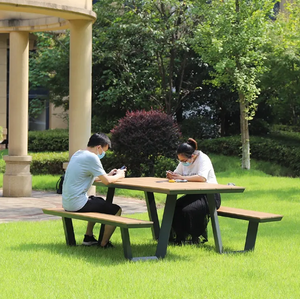 Outdoor Metal Structure Plastic Wood Table and Chair Set for Restaurant Dining and Gatherings