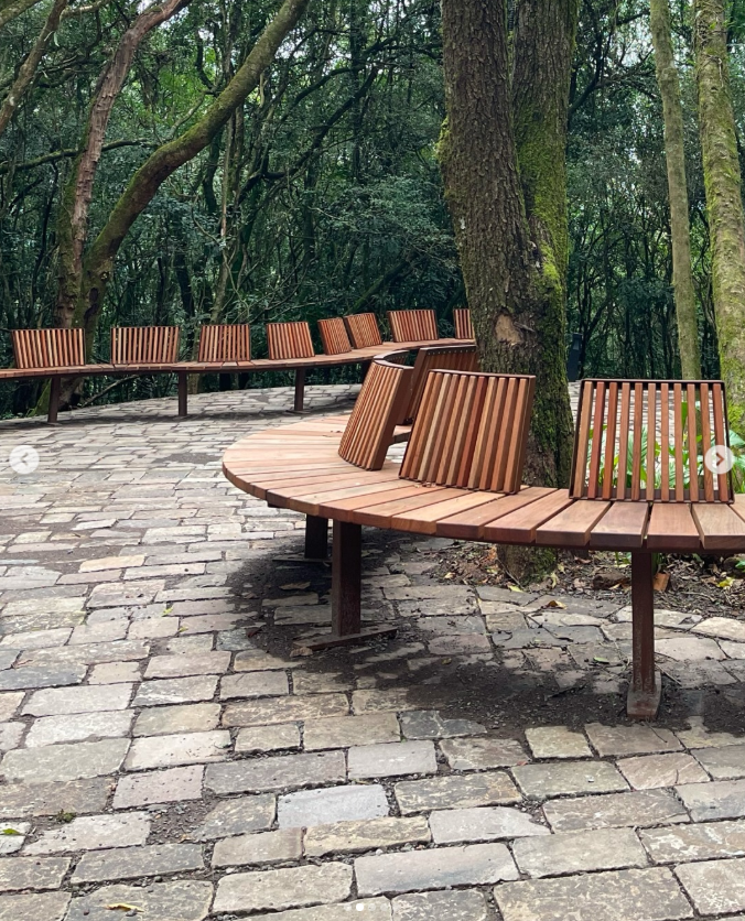 Tree Bench: A Practical Seating Solution for Landscape Projects