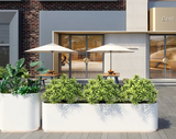 Flower Pot